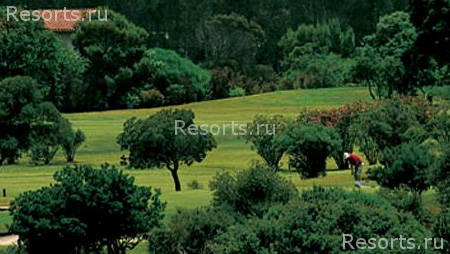 Is Morus Relais 47